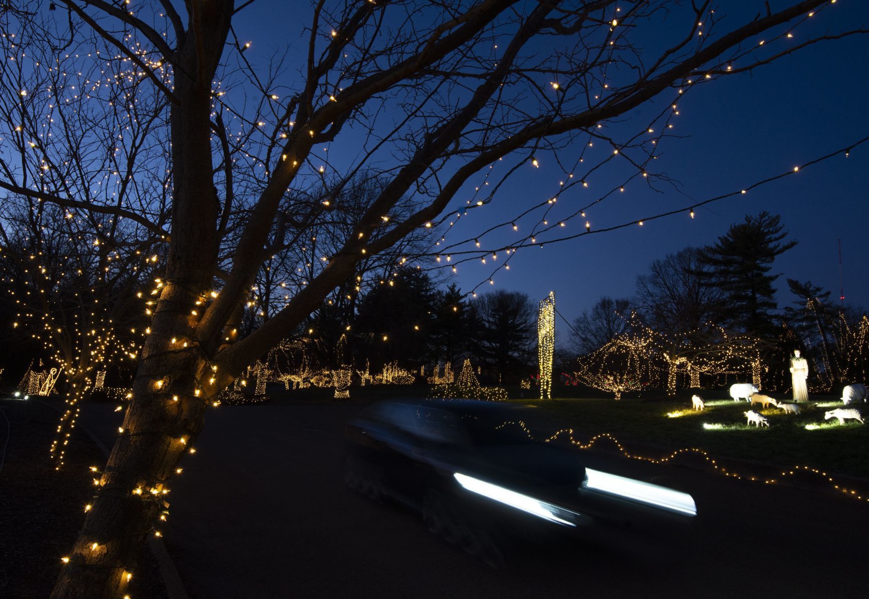 Way of Lights holiday light display at the National Shrine of Our Lady of the Snows